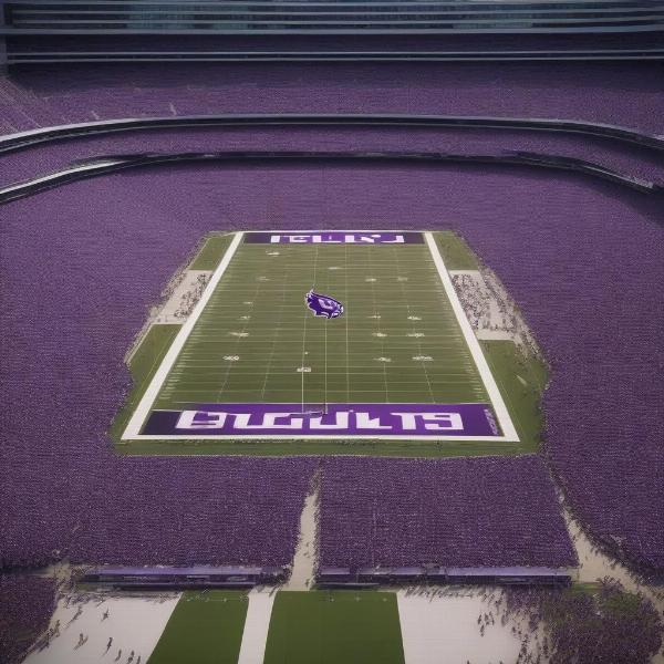 Purple Sea at Husky Football