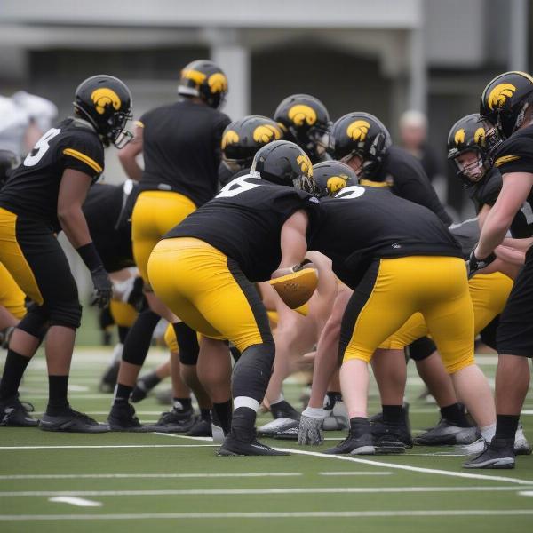 iowa hawkeyes football spring game drills