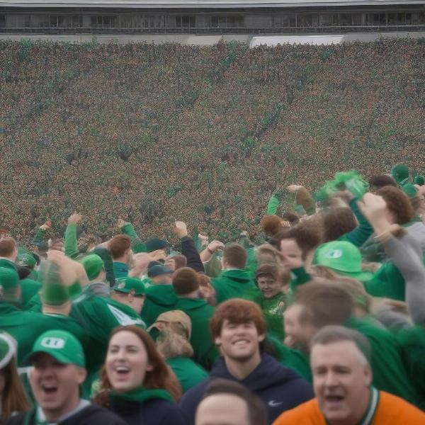 College football fans gathered in Ireland