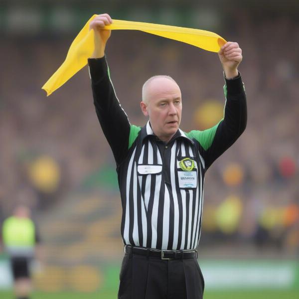 Referee holding UDF flag at Irish football game