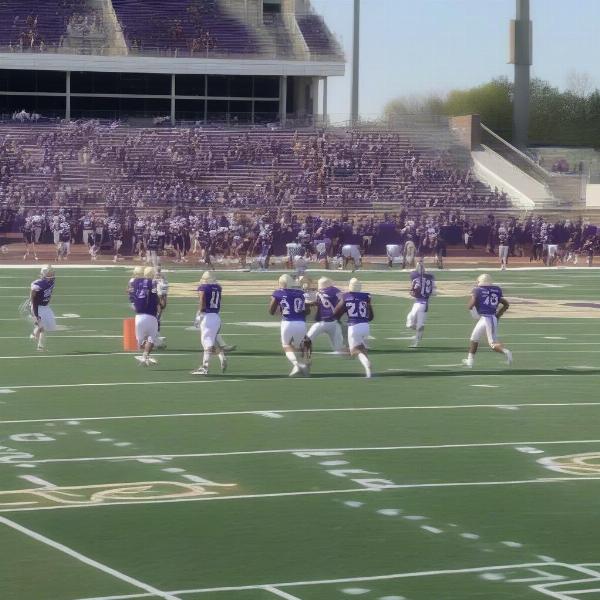 james madison football offensive play analysis