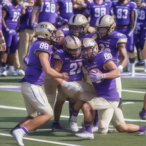 james madison football team work analysis