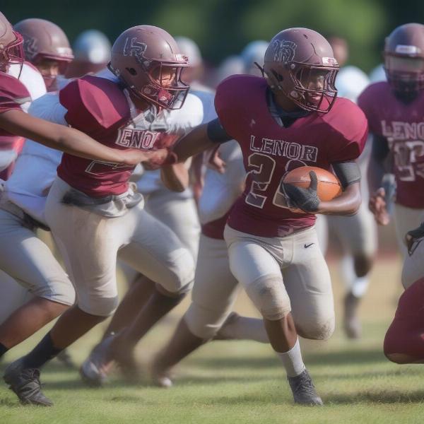 lenoir rhyne football team in action showing skill