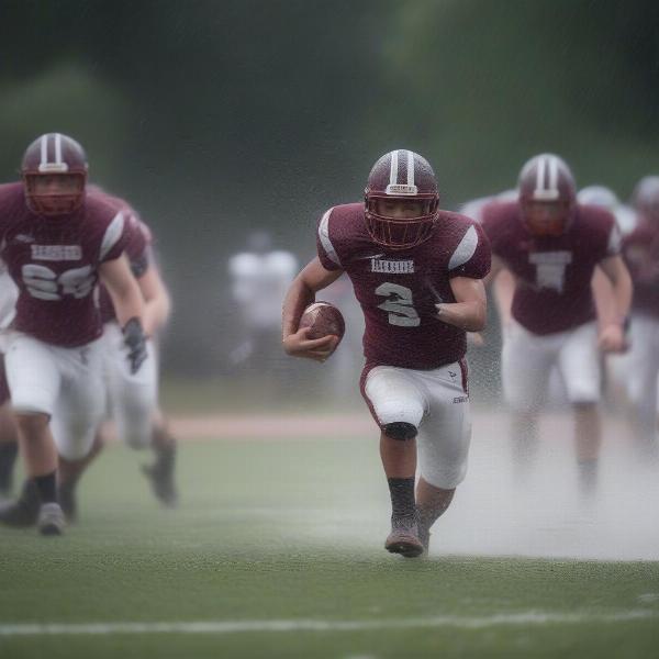 lenoir rhyne game football weather impact on player