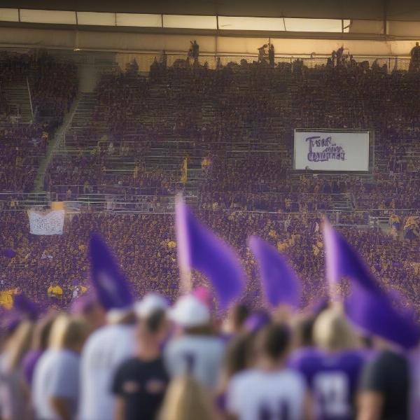 liberty hill football game fan experience