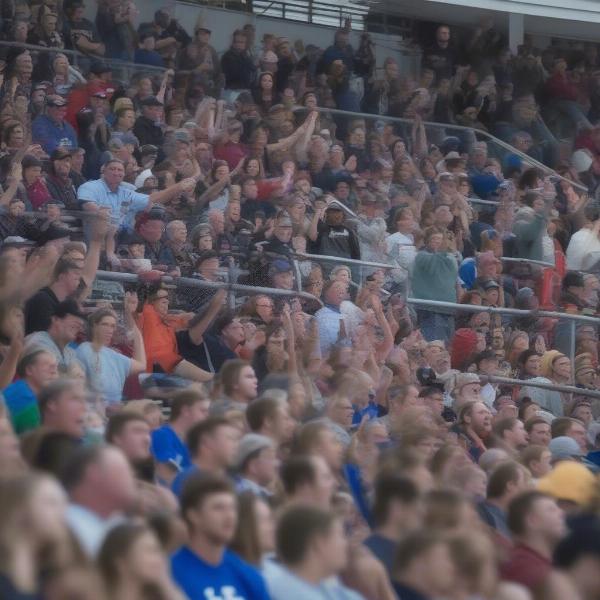 crowd cheer at football game