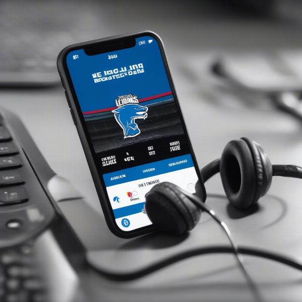radio-listening-detroit-lions