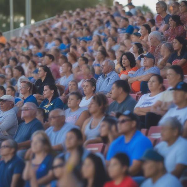 crowd watching los banos city football game