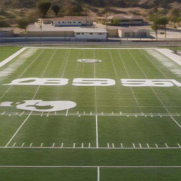 los banos football field overview