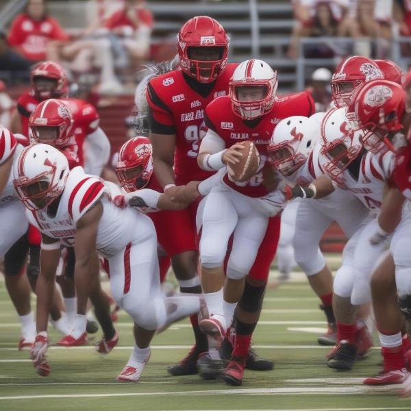 Ragin Cajuns offensive lineup