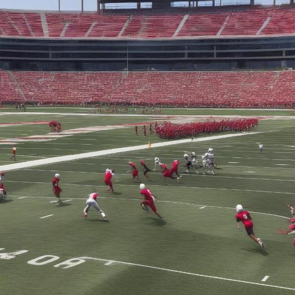 louisville cardinals spring game offense in action