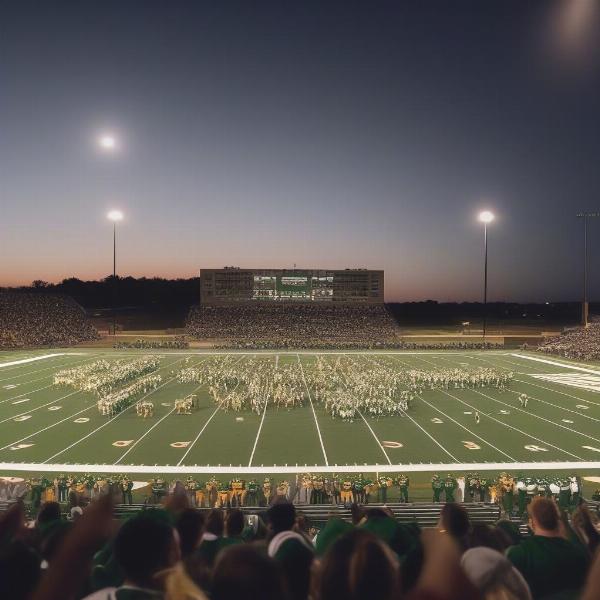 Lumen Christi football game homefield