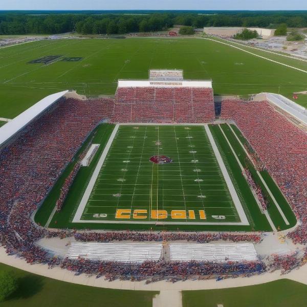marion local football stadium packed