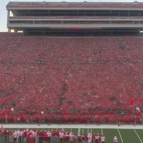 mater dei football fans