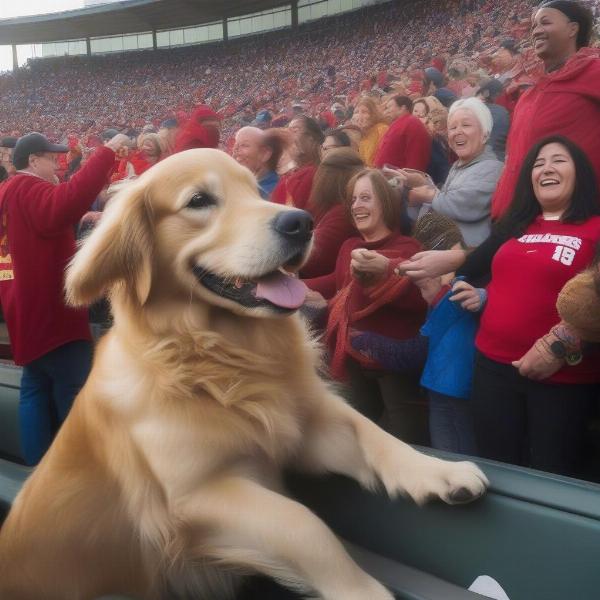 Max the dog is loved by fans