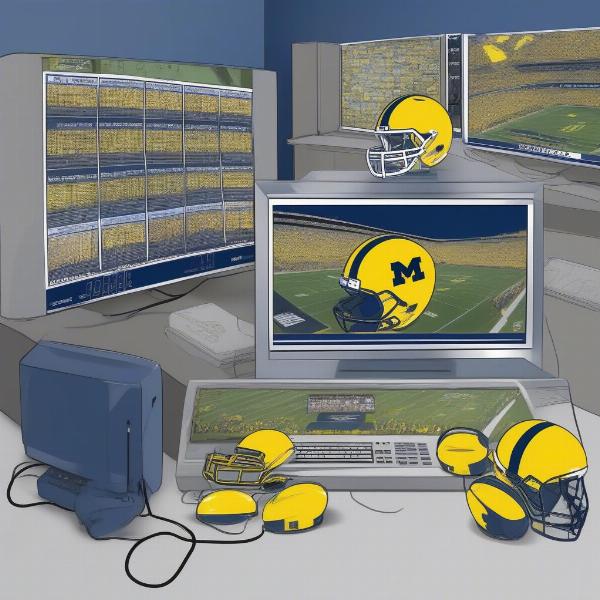 watching michigan football game