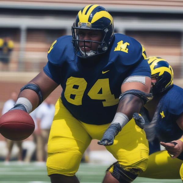 Michigan defensive tackle analysis