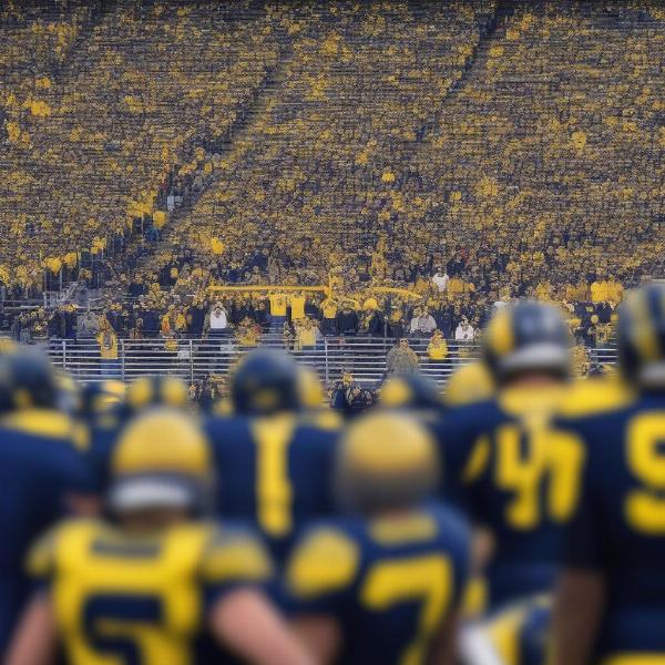 Intense Crowd Reaction During Michigan Ohio Football Game