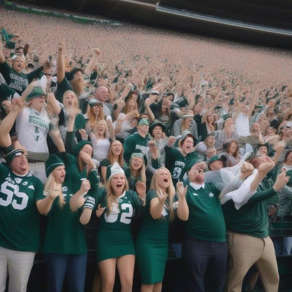 Michigan State Football Fans