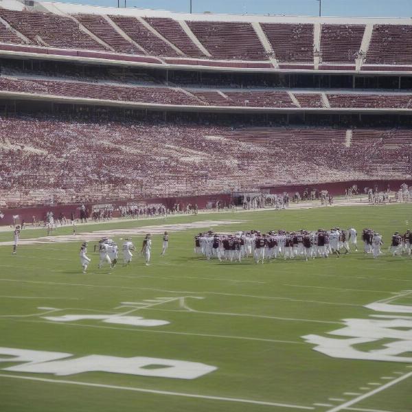 mississippi-state-spring-game-action