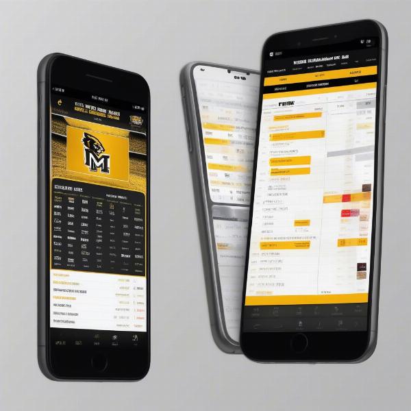 Mizzou Football Schedule Info