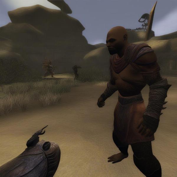 Morrowind Xbox combat scene, character wielding magic