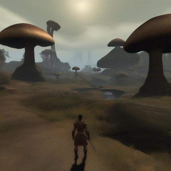 Morrowind Xbox Game