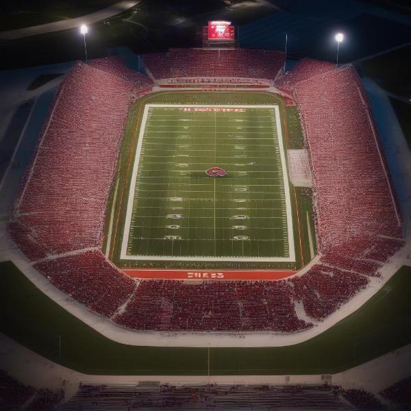 naperville central high school football stadium