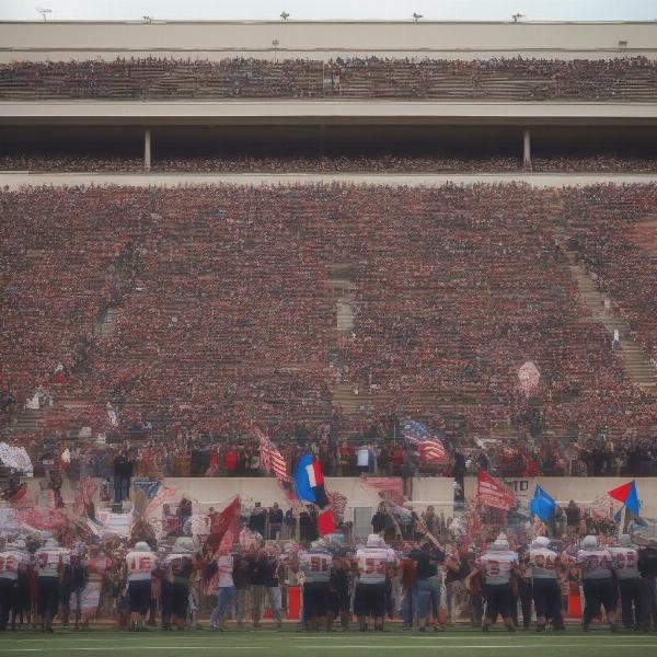 fans cheer football