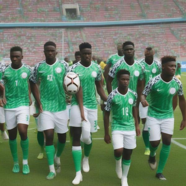 Super Eagles team on the field