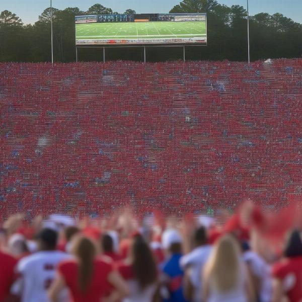 north meck football game fans cheering stadium view