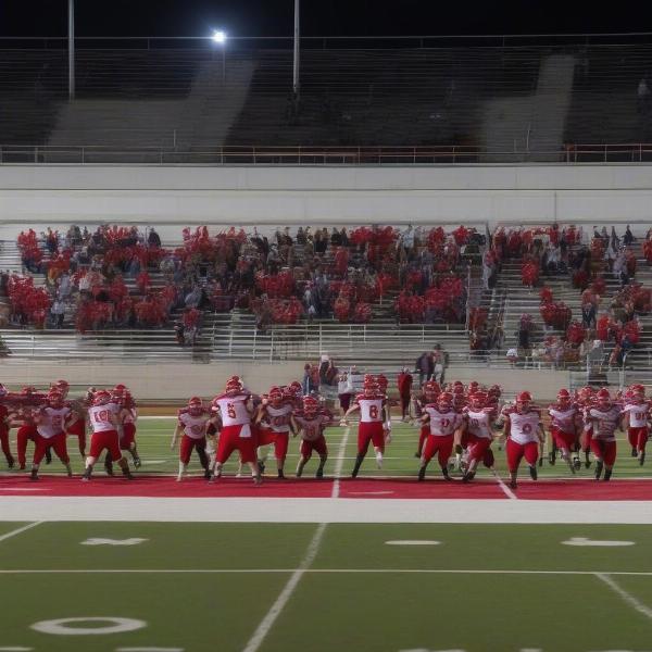 north meck vikings football team players during game