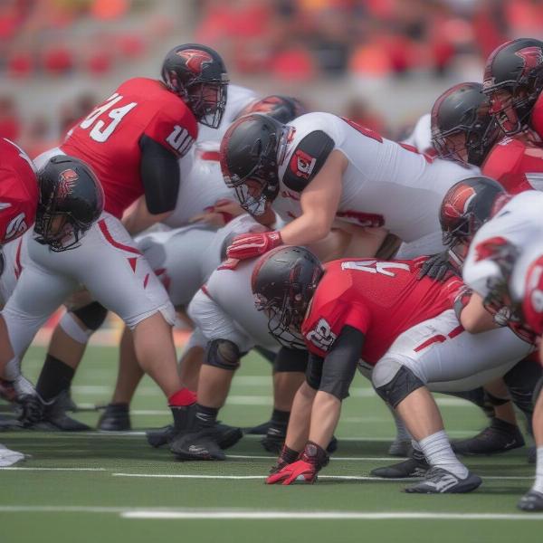 Northern Illinois defensive line during a football game