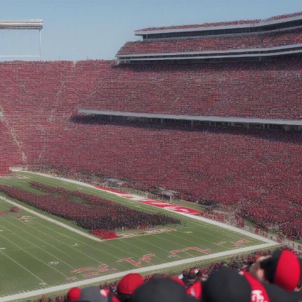 Huskies fans cheering at a Northern Illinois football game