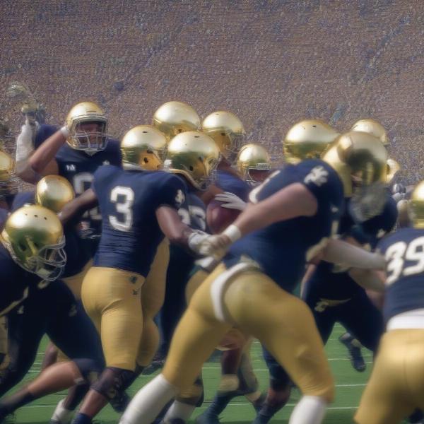 notre dame team during a match