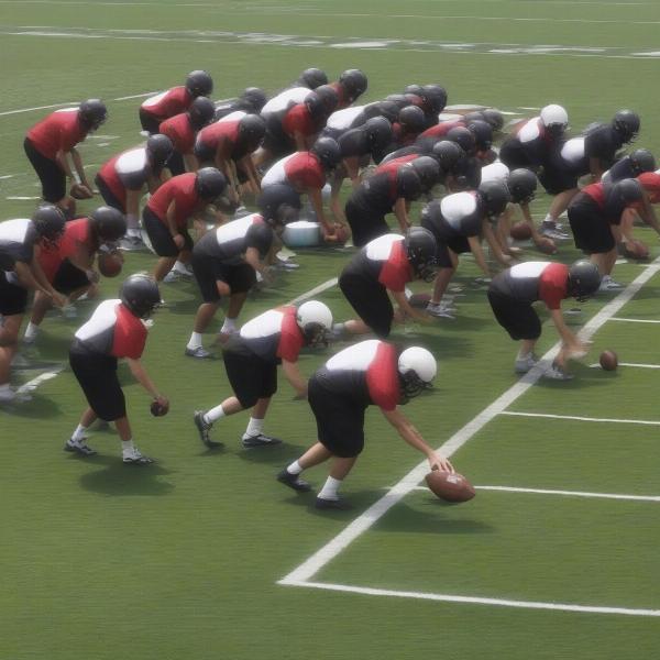 odu football strategies for bowl games