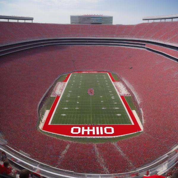 Excited Ohio State Fans Crowd the Stadium