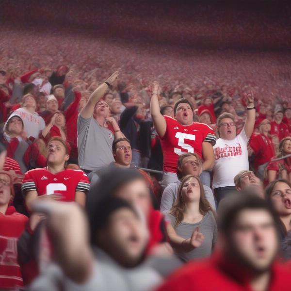 ohio state football fans disappointment