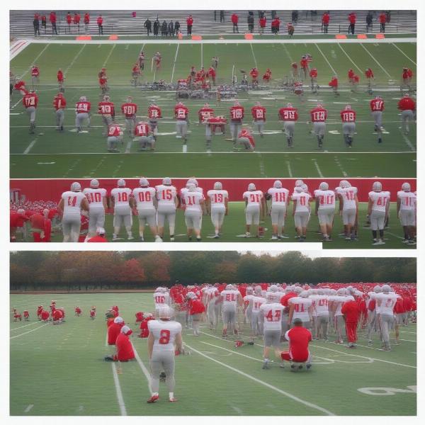 ohio state football team training field