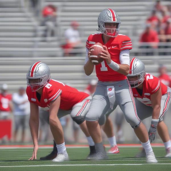 Ohio State QB Spring Competition Analysis
