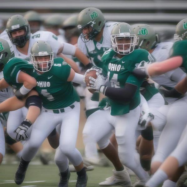 Ohio Bobcats football team in action