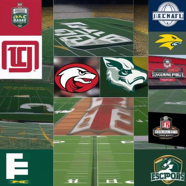 common-tv-networks-oregon-football