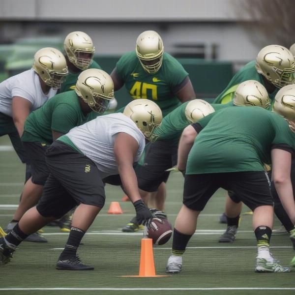 oregon ducks offensive line practice