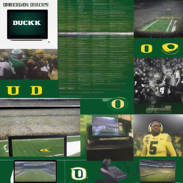 various oregon football game viewing options