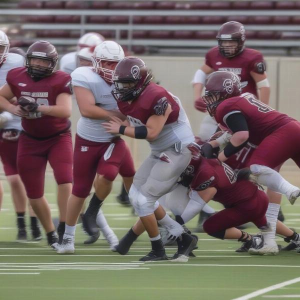 Owasso Rams offense execution, running back, offensive line blocking