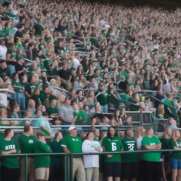 pine richland high school football fans cheering