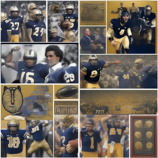 pittsburgh panthers bowl history