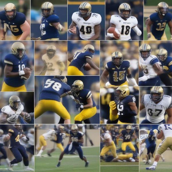pittsburgh panthers football players