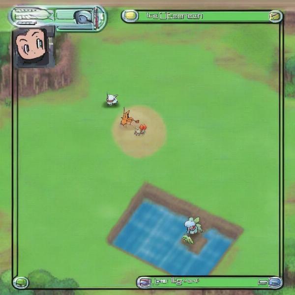 pokemon platinum gameplay battle