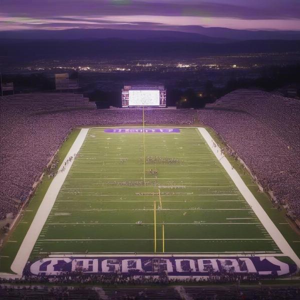 A football stadium full of fans at a Port Neches football game